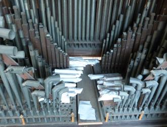 Organ Pipes