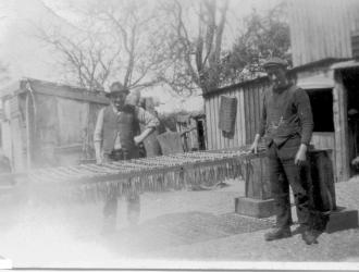 no date. Smoking fish at Prospect House Priory Road from 1900. The Leftley family also sold wet fish and fried fish and chips.