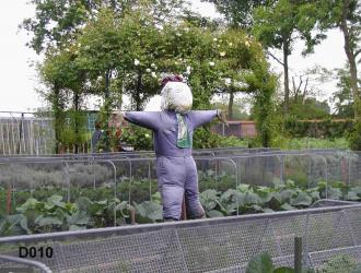 2005.Vegetable Garden Vicarage .Open gardens