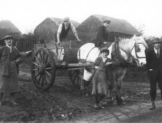 Thatched stacks not taken in Fressingfield.