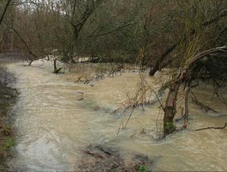  2010  woods flooded.